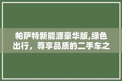 帕萨特新能源豪华版,绿色出行，尊享品质的二手车之选