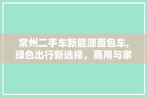 常州二手车新能源面包车,绿色出行新选择，商用与家庭两相宜