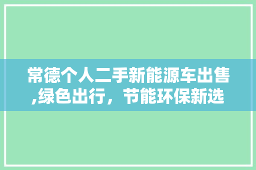 常德个人二手新能源车出售,绿色出行，节能环保新选择