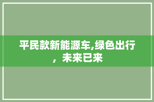 平民款新能源车,绿色出行，未来已来