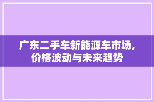 广东二手车新能源车市场,价格波动与未来趋势