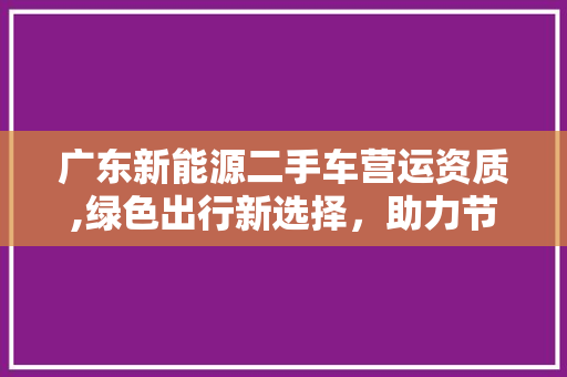 广东新能源二手车营运资质,绿色出行新选择，助力节能减排