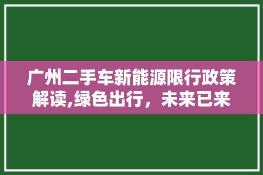广州二手车新能源限行政策解读,绿色出行，未来已来