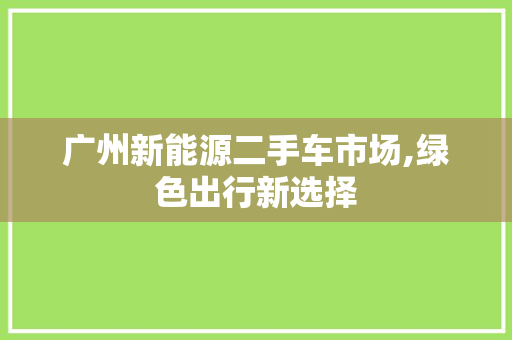 广州新能源二手车市场,绿色出行新选择