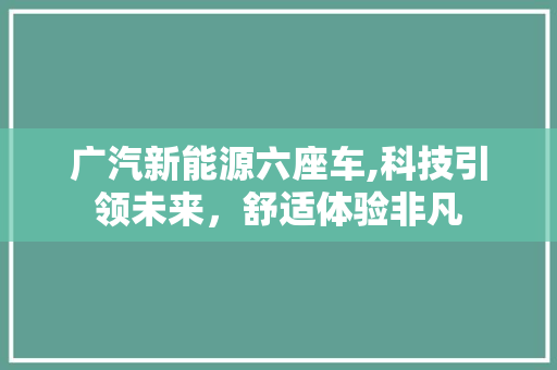 广汽新能源六座车,科技引领未来，舒适体验非凡