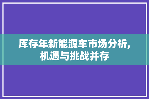 库存年新能源车市场分析,机遇与挑战并存