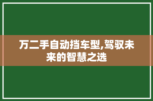 万二手自动挡车型,驾驭未来的智慧之选