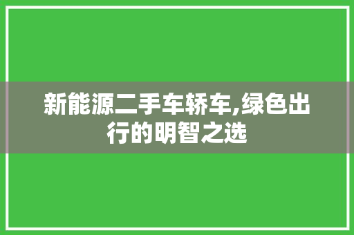 新能源二手车轿车,绿色出行的明智之选
