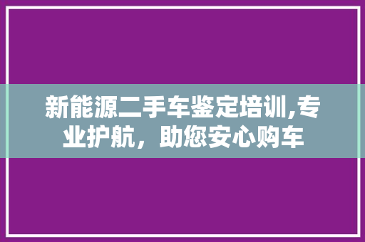 新能源二手车鉴定培训,专业护航，助您安心购车