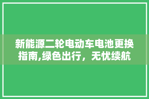 新能源二轮电动车电池更换指南,绿色出行，无忧续航