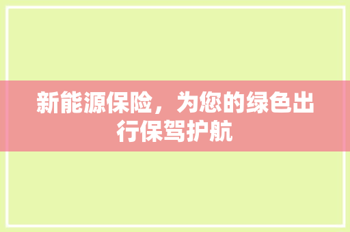 新能源保险，为您的绿色出行保驾护航