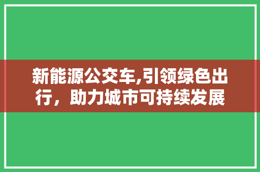 新能源公交车,引领绿色出行，助力城市可持续发展