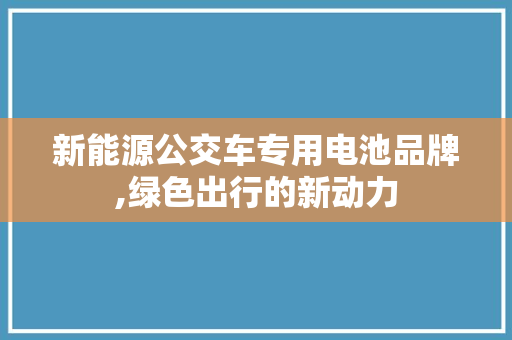 新能源公交车专用电池品牌,绿色出行的新动力
