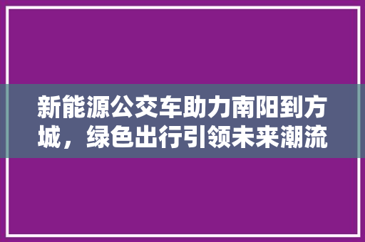 新能源公交车助力南阳到方城，绿色出行引领未来潮流