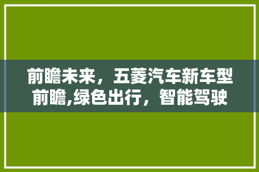 前瞻未来，五菱汽车新车型前瞻,绿色出行，智能驾驶，重塑行业标准