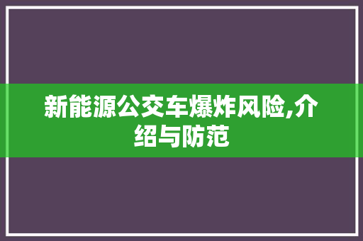 新能源公交车爆炸风险,介绍与防范