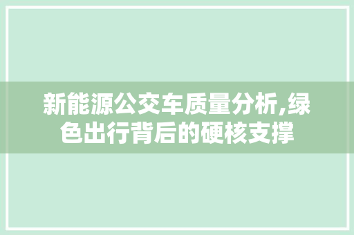 新能源公交车质量分析,绿色出行背后的硬核支撑