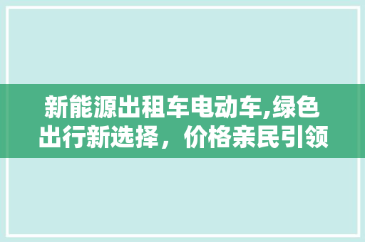 新能源出租车电动车,绿色出行新选择，价格亲民引领未来