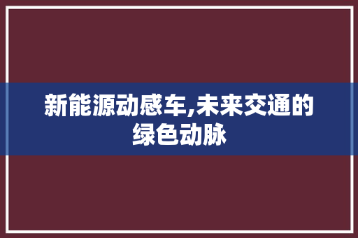 新能源动感车,未来交通的绿色动脉