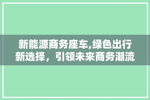 新能源商务座车,绿色出行新选择，引领未来商务潮流