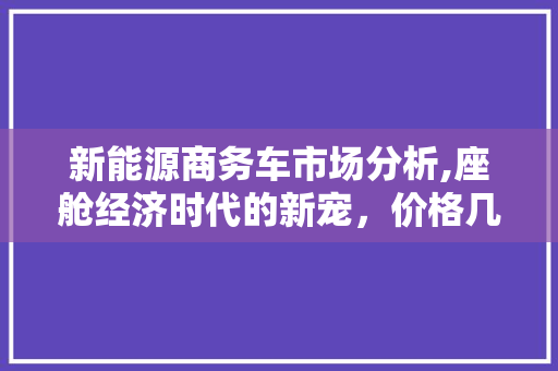 新能源商务车市场分析,座舱经济时代的新宠，价格几何