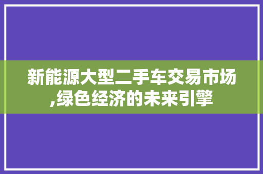 新能源大型二手车交易市场,绿色经济的未来引擎