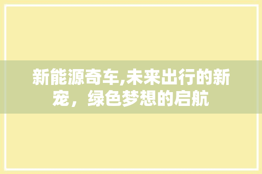 新能源奇车,未来出行的新宠，绿色梦想的启航