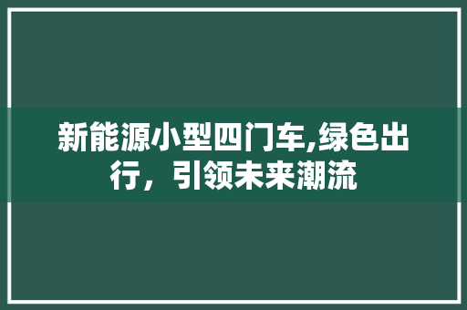 新能源小型四门车,绿色出行，引领未来潮流