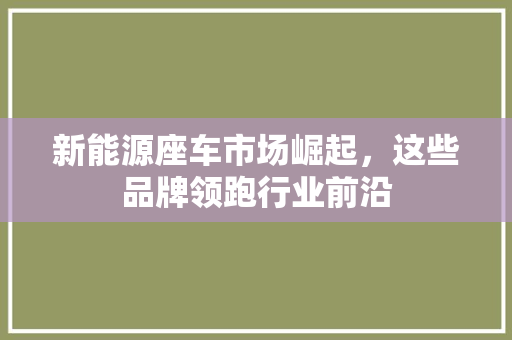 新能源座车市场崛起，这些品牌领跑行业前沿