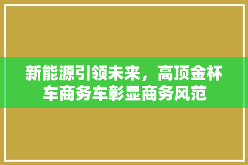 新能源引领未来，高顶金杯车商务车彰显商务风范