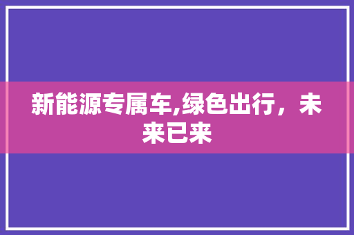 新能源专属车,绿色出行，未来已来