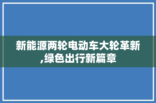 新能源两轮电动车大轮革新,绿色出行新篇章