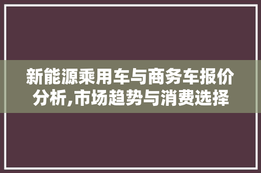 新能源乘用车与商务车报价分析,市场趋势与消费选择
