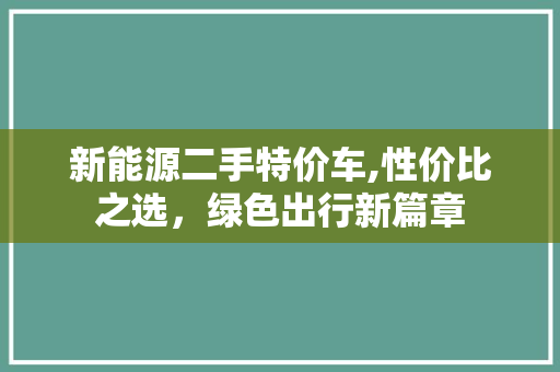 新能源二手特价车,性价比之选，绿色出行新篇章