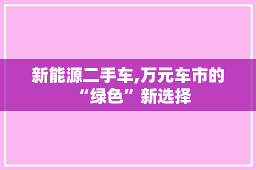 新能源二手车,万元车市的“绿色”新选择