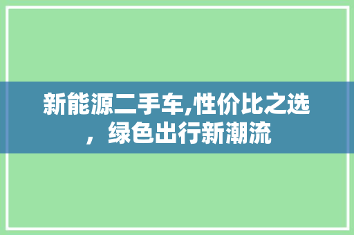 新能源二手车,性价比之选，绿色出行新潮流