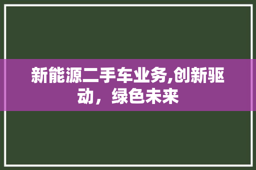 新能源二手车业务,创新驱动，绿色未来