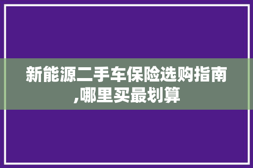 新能源二手车保险选购指南,哪里买最划算