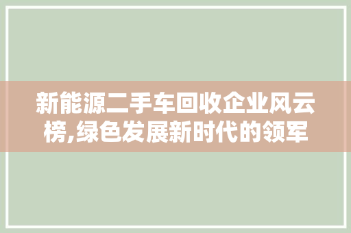 新能源二手车回收企业风云榜,绿色发展新时代的领军者