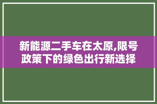 新能源二手车在太原,限号政策下的绿色出行新选择