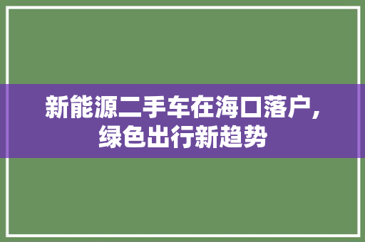 新能源二手车在海口落户,绿色出行新趋势