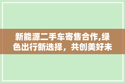 新能源二手车寄售合作,绿色出行新选择，共创美好未来
