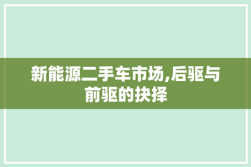 新能源二手车市场,后驱与前驱的抉择