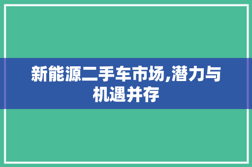 新能源二手车市场,潜力与机遇并存