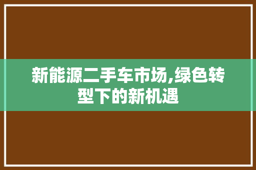 新能源二手车市场,绿色转型下的新机遇