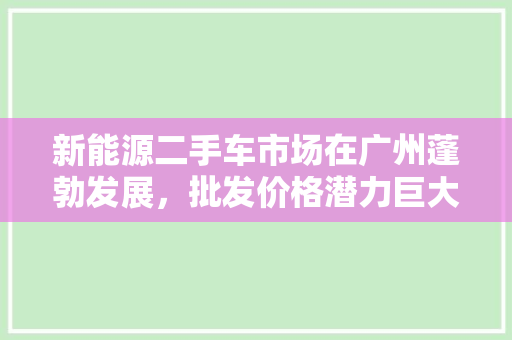 新能源二手车市场在广州蓬勃发展，批发价格潜力巨大