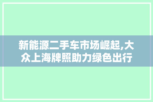 新能源二手车市场崛起,大众上海牌照助力绿色出行