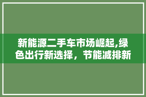 新能源二手车市场崛起,绿色出行新选择，节能减排新篇章