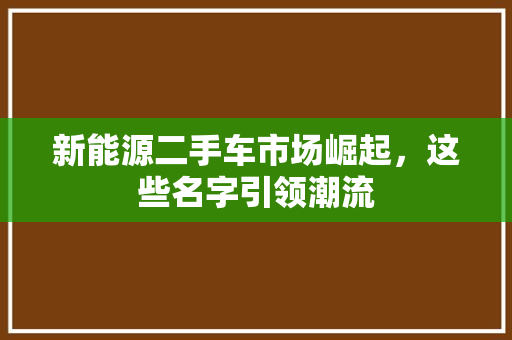 新能源二手车市场崛起，这些名字引领潮流