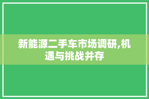 新能源二手车市场调研,机遇与挑战并存